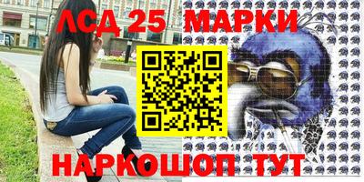 гашик Бийск