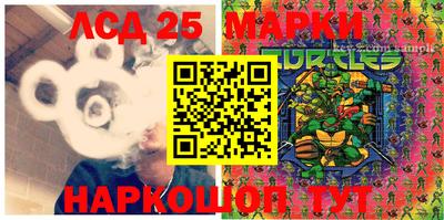 индика Мариинск