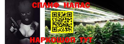 гашик Бийск