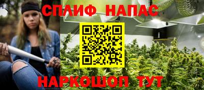 гашик Бийск