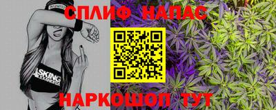 сатива Беслан
