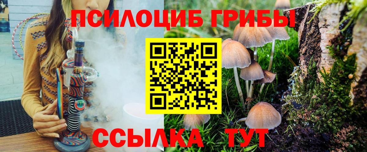 Псилоцибиновые грибы Psilocybe  Псилоцибиновые грибы GOLDEN TEACHER  наркошоп  Елец  Вход с VPN 